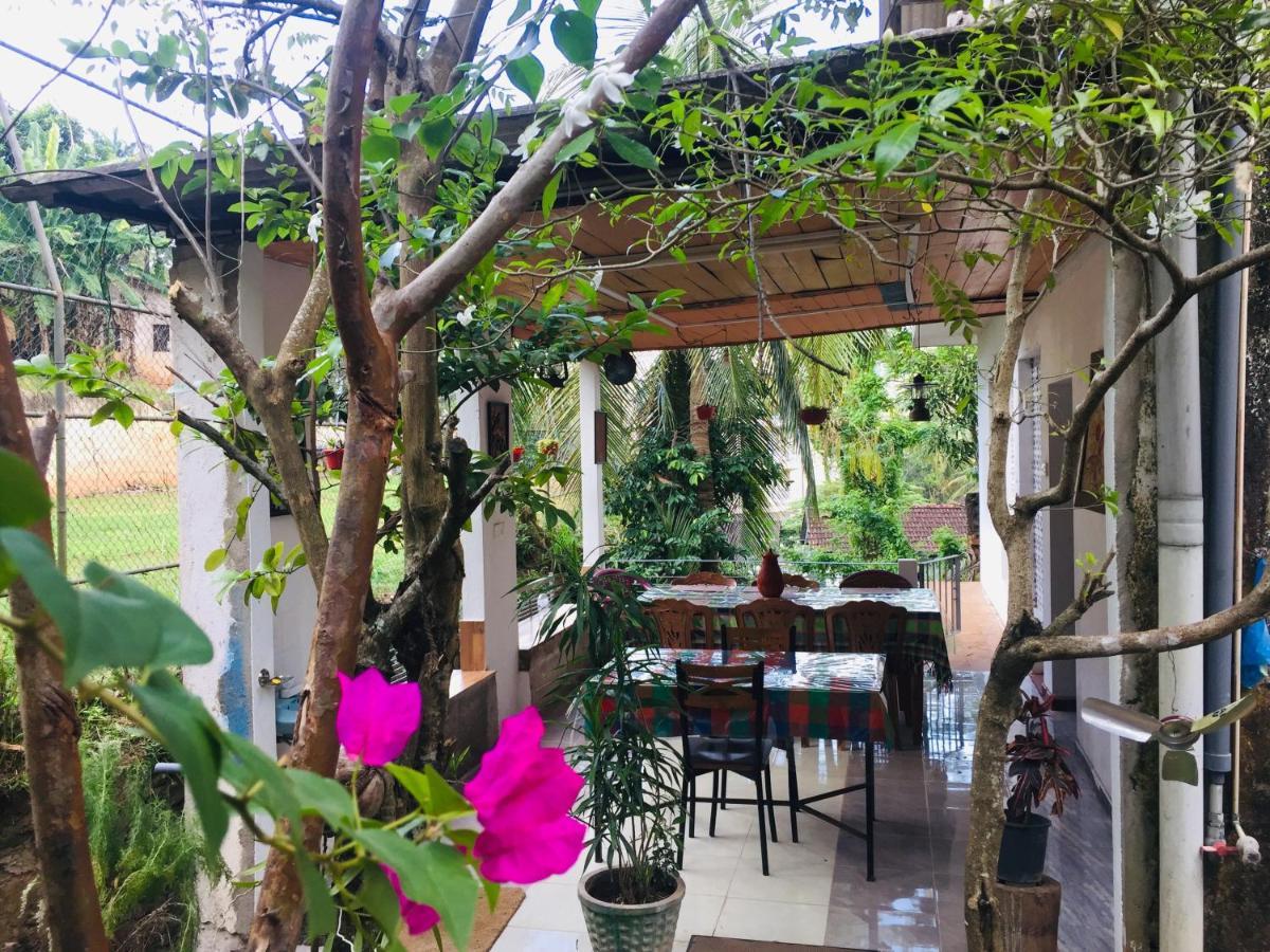 Kandy Ivy Banks Holiday Resort Εξωτερικό φωτογραφία