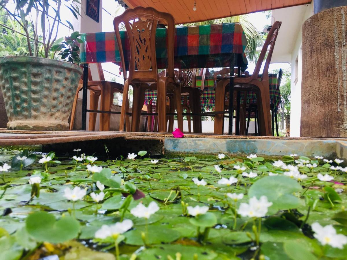 Kandy Ivy Banks Holiday Resort Εξωτερικό φωτογραφία