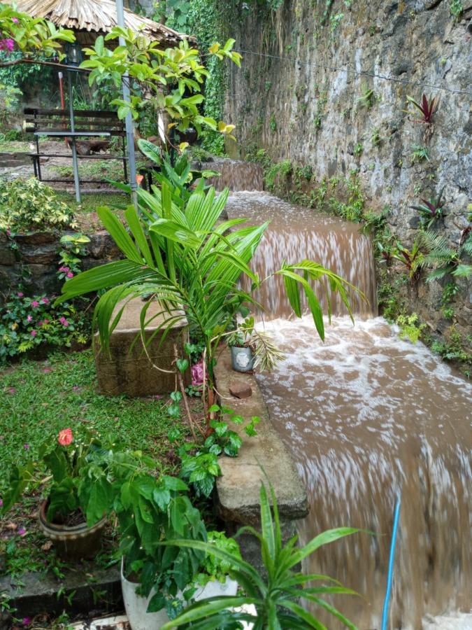 Kandy Ivy Banks Holiday Resort Εξωτερικό φωτογραφία