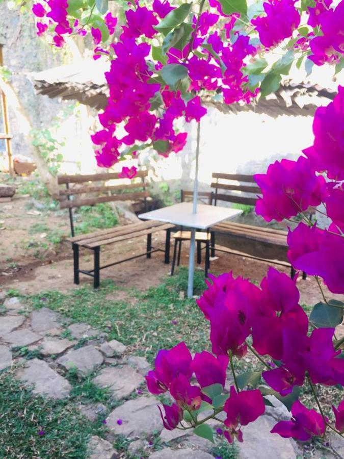 Kandy Ivy Banks Holiday Resort Εξωτερικό φωτογραφία