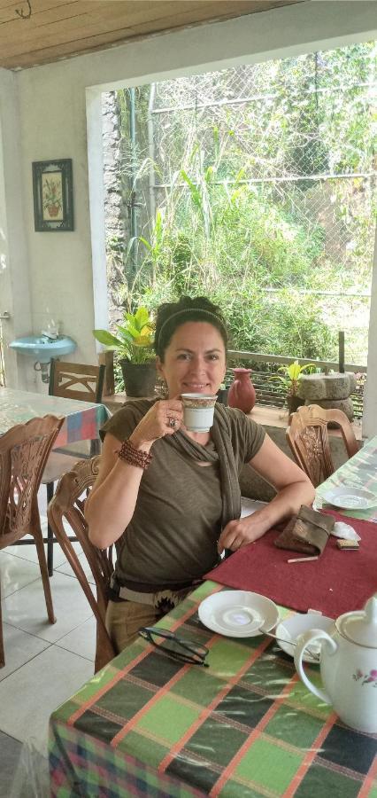 Kandy Ivy Banks Holiday Resort Εξωτερικό φωτογραφία