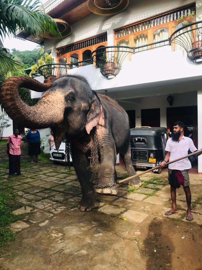 Kandy Ivy Banks Holiday Resort Εξωτερικό φωτογραφία