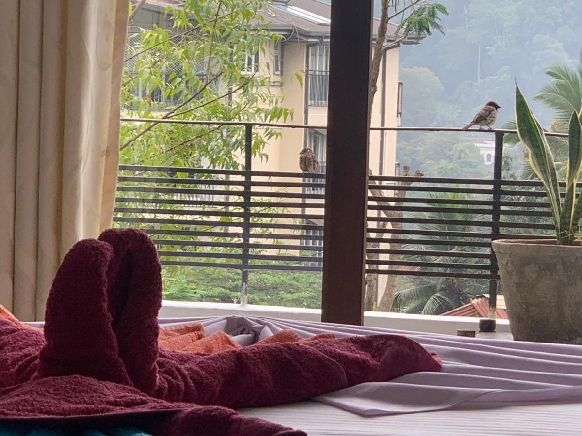 Kandy Ivy Banks Holiday Resort Εξωτερικό φωτογραφία